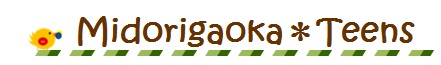 緑が丘図書館ティーンズコーナー